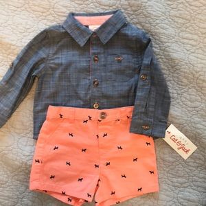 3-6 month outfits